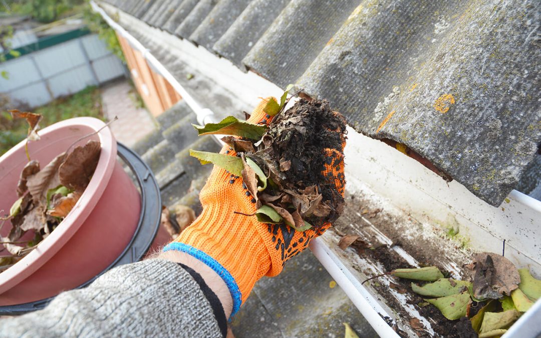 8 Tips for Cleaning the Gutters