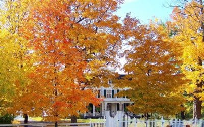 Essential Fall Home Maintenance: Practical Tips Every Homeowner