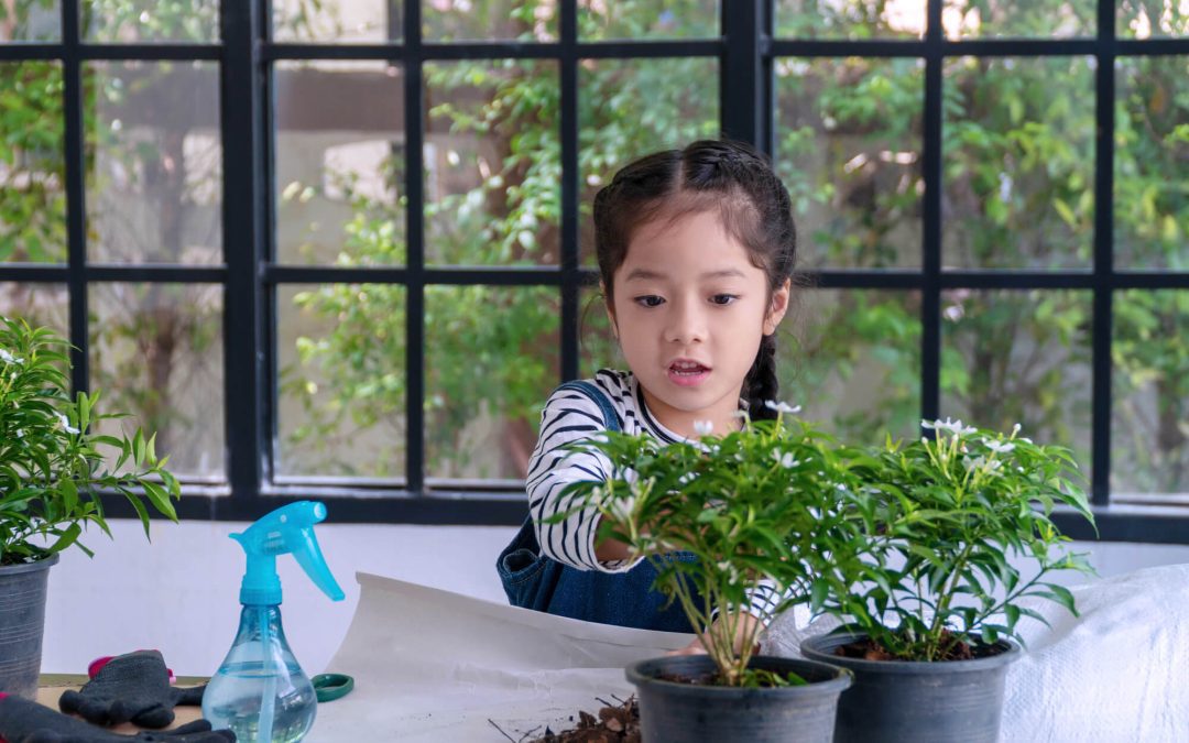 Cultivating Joy: Gardening with Kids