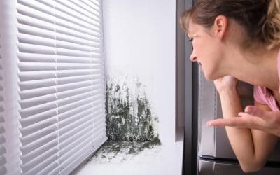 Unmasking Common Myths About Mold for Homeowners